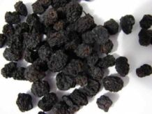 Aronia melanocarpa (chokeberies)